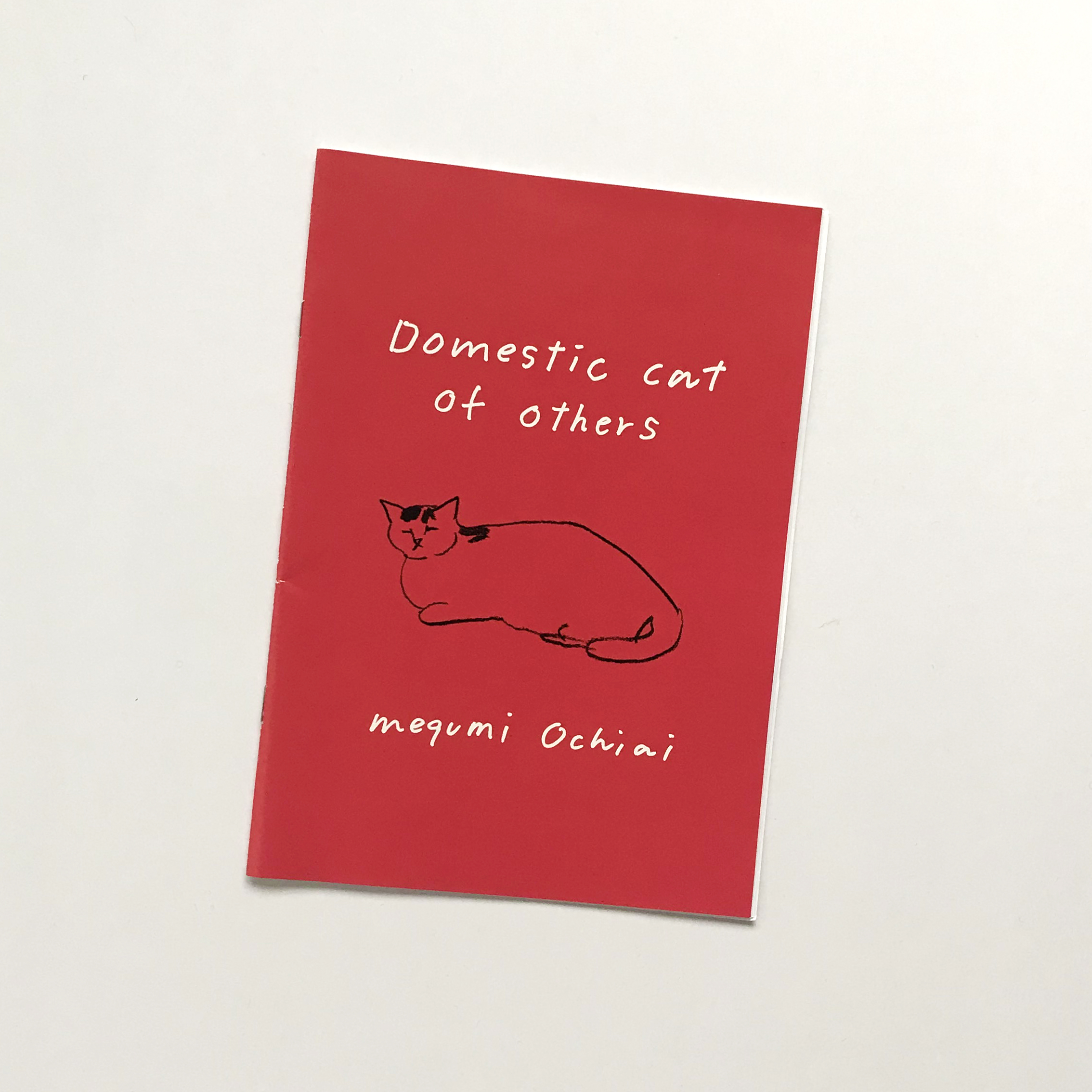 Domestic cat of others(自主制作)
